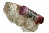 Double-Terminated Elbaite Tourmaline in Quartz - Siberia #175649-2